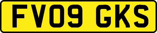 FV09GKS