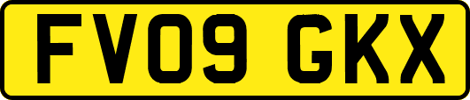 FV09GKX