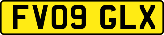 FV09GLX