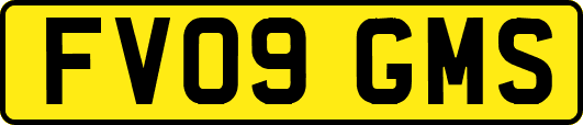 FV09GMS
