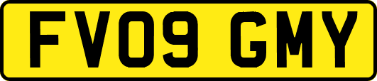 FV09GMY