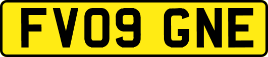 FV09GNE