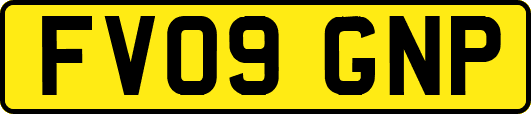 FV09GNP