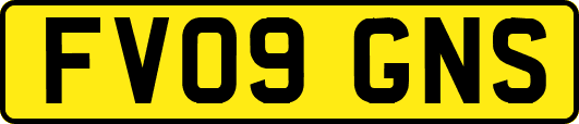 FV09GNS