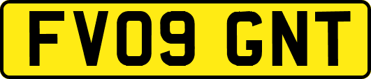 FV09GNT