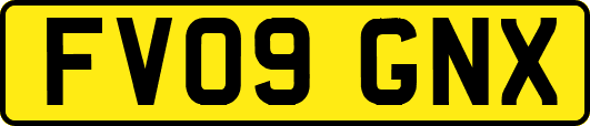 FV09GNX