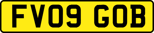 FV09GOB