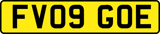FV09GOE