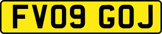 FV09GOJ