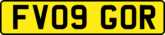 FV09GOR