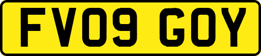 FV09GOY