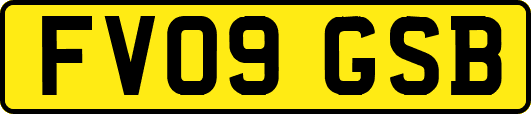 FV09GSB
