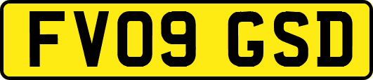 FV09GSD