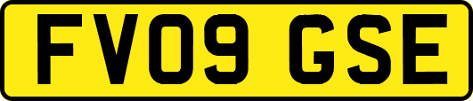 FV09GSE