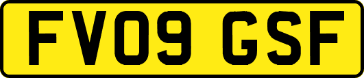 FV09GSF