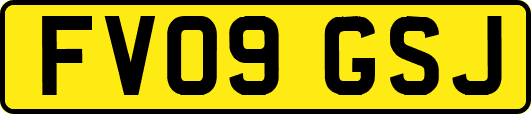 FV09GSJ