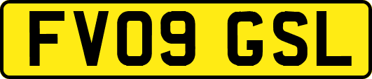 FV09GSL