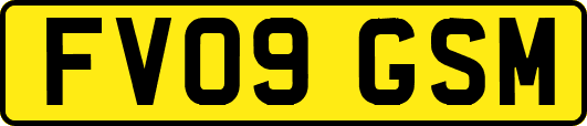 FV09GSM