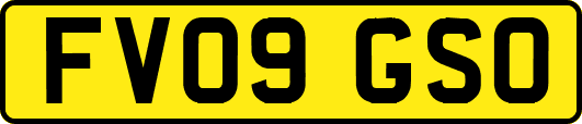 FV09GSO