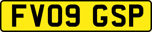 FV09GSP