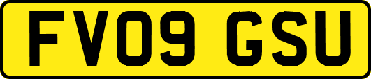 FV09GSU