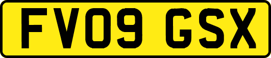 FV09GSX
