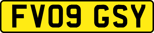 FV09GSY