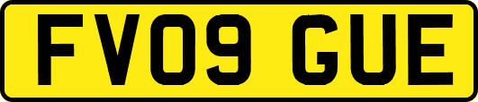 FV09GUE