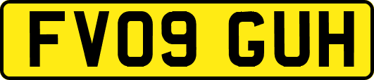 FV09GUH