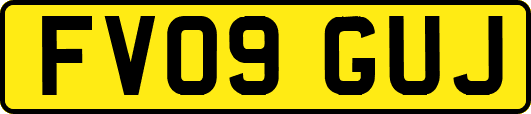 FV09GUJ