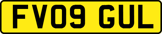 FV09GUL