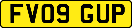 FV09GUP