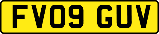 FV09GUV