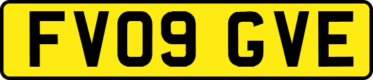 FV09GVE