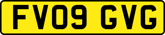FV09GVG