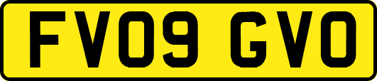 FV09GVO