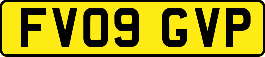 FV09GVP
