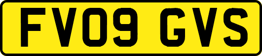 FV09GVS