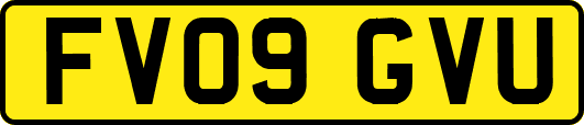 FV09GVU