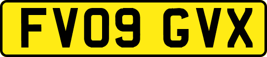 FV09GVX