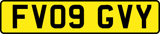 FV09GVY