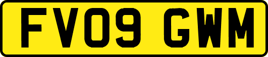 FV09GWM