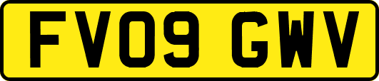 FV09GWV