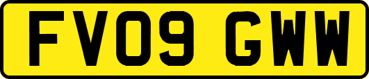 FV09GWW