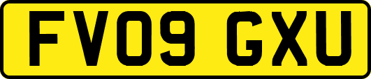 FV09GXU