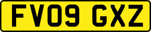 FV09GXZ
