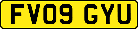 FV09GYU