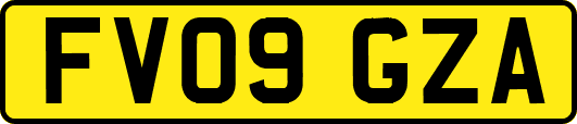 FV09GZA