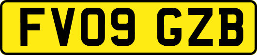 FV09GZB