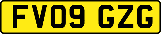 FV09GZG